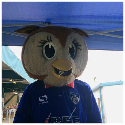 OwlChaddy's profile picture. Official Mascot For Oldham Athletic Football Club. I enjoy meeting our mascots and bench buddies and to make sure all our junior supporters have FUN.