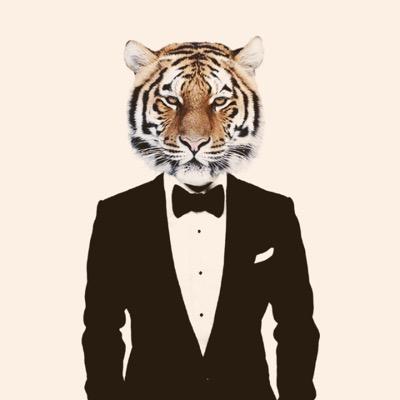 AlexanderGucol's profile picture. 