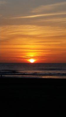 jcaeyman's profile picture. 