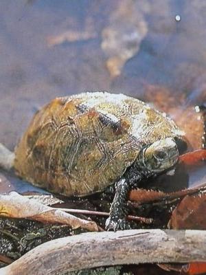 HG ：東扇島西公園時々若洲海浜公園　　　　　　　　　　　　　　　　　　　　　　　　　　　　　　　　　　　　　　　　　　　　　　　　　　　　　　　　　　　　　　　　　ボウズの達人　永遠のド素人