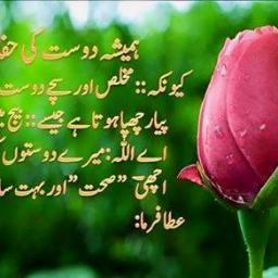 mirwah3's profile picture. 