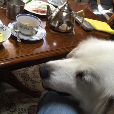 tanaxtupi's profile picture. 