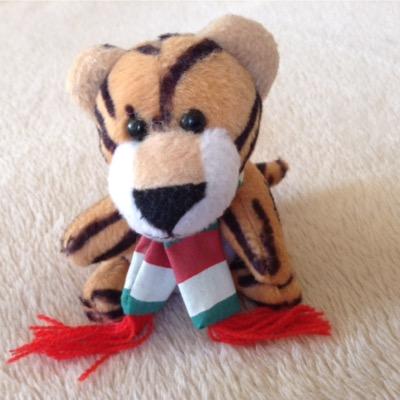 Big fan of Tigers, LCCC, less of a fan of LCFC.