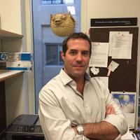 Roger Thompson (@neurophy) 's Twitter Profile