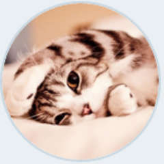 TannuD07's profile picture. NEWBIE BLOGGER