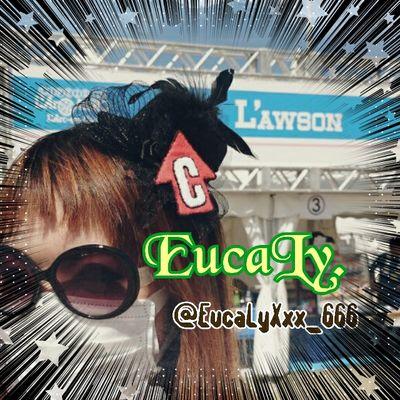 EucaLy.@趣味が渋滞中⭐︎さんのプロフィール画像