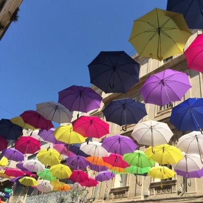 rgrossi75's profile picture. Nothing's shocking