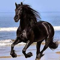 ✈️مجموعة أنسان (@saud7b) 's Twitter Profile