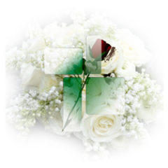 EsquelasEnRed's profile picture. Cementerio Virtual. Mausoleos Familiares Gratuitos. Esquelas. Sepulcros y Altares. Ofrendas  Facebook https://t.co/JLbQnAZXvX