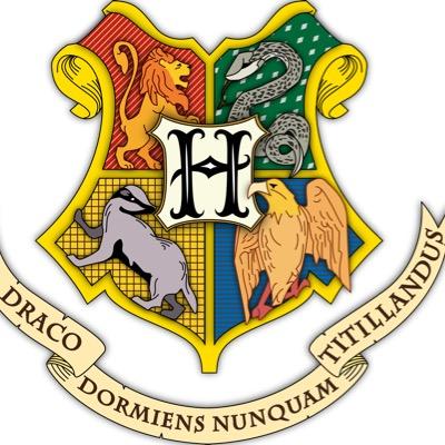 It's been twenty years since the Battle of Hogwarts, but still there is something lurking in the shadows... Draco Dormiens Nunquam Titillandus #HogwartsRPG