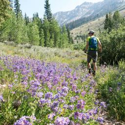 Sun Valley Trails