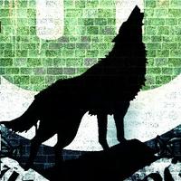 Palloo (@palloo) 's Twitter Profile