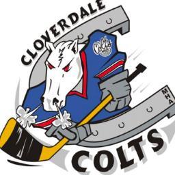 Official Twitter Account of the CMHA Bantam AAA Colts 2015/16