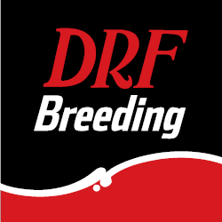 Thoroughbred horse breeding and sales news from Daily Racing Form.