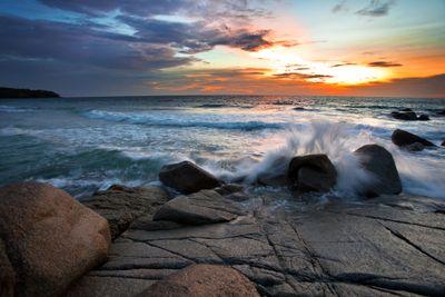 treal88's profile picture. 