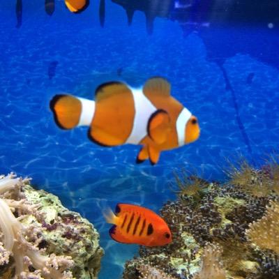 cha_yi_se's profile picture. お出掛けするのが好きです。本の中にもよく行きます。