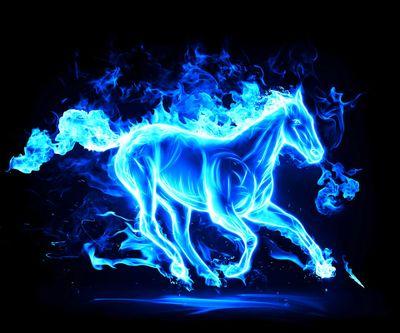 soaresv109's profile picture. 