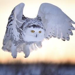 g8224501's profile picture. 