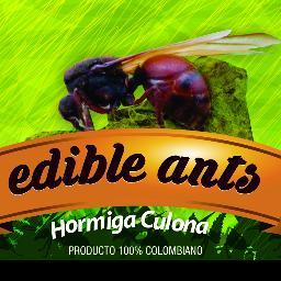 ⭐️EXPORT COLOMBIA CI SAS company dedicated to the commercialization of edible ants, to provide consumers with quality food