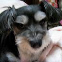 Younghee Cho - @cindychocho - Twitter