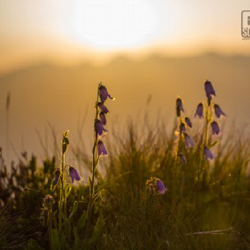 ecap_uxewag36's profile picture. 