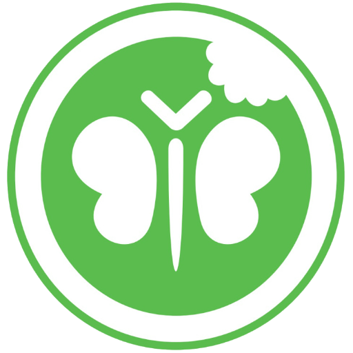 Bug Boys use insects as an eco-friendly protein source for tasty food. We now sell cricket flour/powder. And raise the awareness of the benefits of bugs!