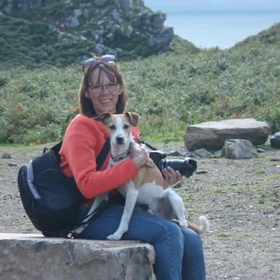 BijPien50's profile picture. 