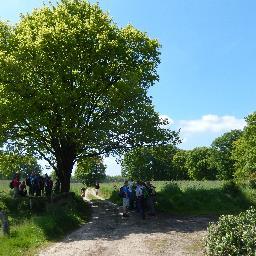 Voor alle sessies in hart van Twentse natuur # brengt Twentse natuur en cultuur samen voor zakelijk Nederland