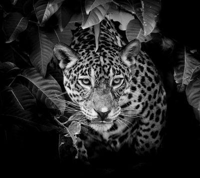 0527_90's profile picture. 