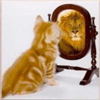 Helen Syme (@symehelen) 's Twitter Profile Photo Helen Syme (@symehelen) 's Twitter Profile Photo