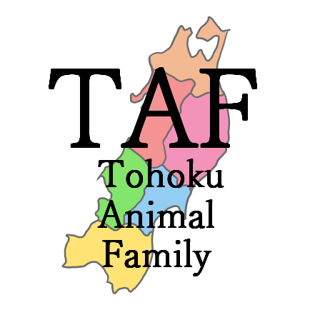 Tohoku Animal Family「TAF」主催の東北及び関東エリアのオフ会情報、グリーティング情報、ボランティア活動の宣伝やちょっとした日常や耳寄り情報など発信していきます！グリーティングボランティアの依頼は taf.info6@gmail.com へどうぞ📨