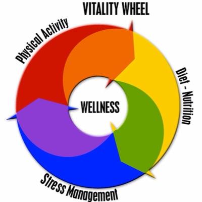 _wanderingwolf's profile picture. Psychotherapy - Nature - Cycling - Hiking - Bushcraft - Ju-Jitsu