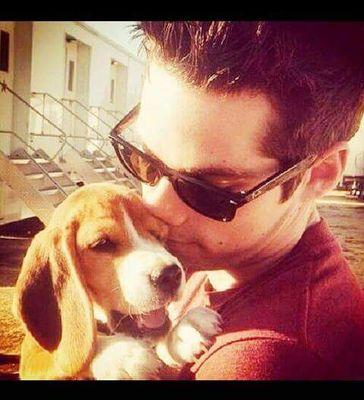 I'm not a fan, I'm a O'briener, I'm not obsessed, I'm supportive, 
He's not just an actor,  He is my hero. I have a Facebook too: Dylan O'brien FanZ