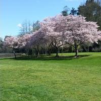 Abdullah - Abu Amjd (@flath1000) 's Twitter Profile