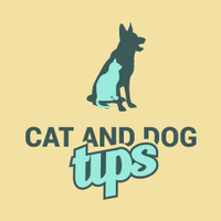 Cat And Dog Tips(@CatsAndDogsTips) 's Twitter Profile Photo