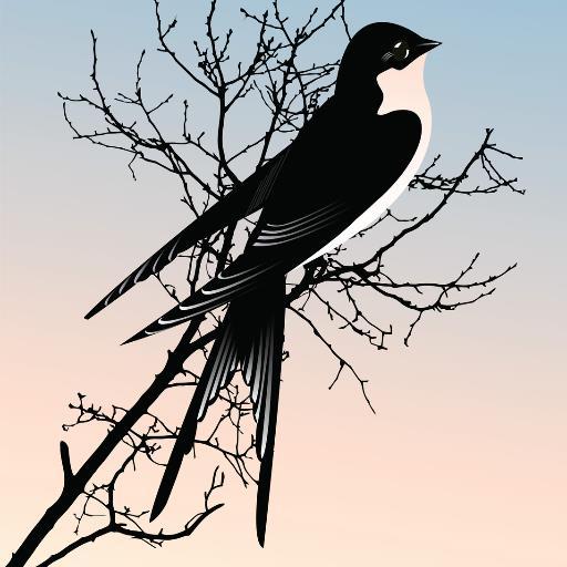 An artist, a lover of nature and wild about birds! Visit my shop at https://t.co/w5DDGcZ8yE or https://t.co/rLkeA7h0lk for lovely bird feeding gifts and more