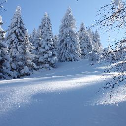 somaelloj's profile picture. 