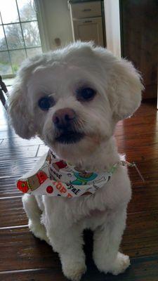 SprficialBourbn's profile picture. 