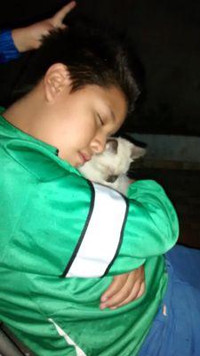 cipatlifloresgr's profile picture. 