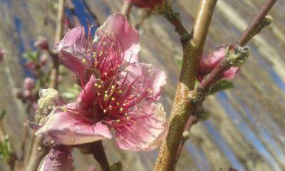 perlanegra25's profile picture. Que decir de la vida solo que hay que vivirla con la mayor intensidad posible!