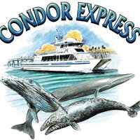 Condor Express (@condorexpresssb) 's Twitter Profile