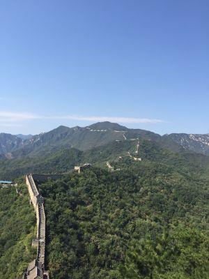 verbalizing's profile picture. what ever comes to mind at the time