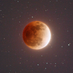 blood moon gillian (@bloodmoongill) Twitter profile photo