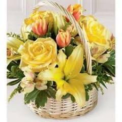 naladtapron3's profile picture. 