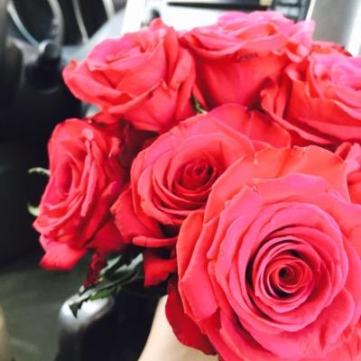 alnoor198's profile picture. .ربي نسألك هدوء النفس وطمأنينة آلقلب وإنشراح آلصدر ربي نسألك توفيقا يرآفق خطآنا وحيآة مليئه بكل ما يرضيك♡ ♡....♡