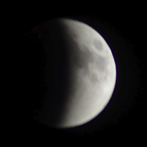 nozlaf_au's profile picture. Has thoughts, shares them too often