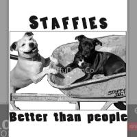 Staffy Dog n Co(@StaffyDognCo) 's Twitter Profile Photo