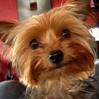 ARWEN (@arwen_fn_green) 's Twitter Profile Photo ARWEN (@arwen_fn_green) 's Twitter Profile Photo