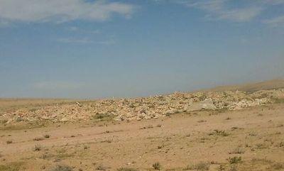 osem12341234's profile picture. 