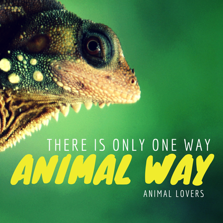 Animal Way